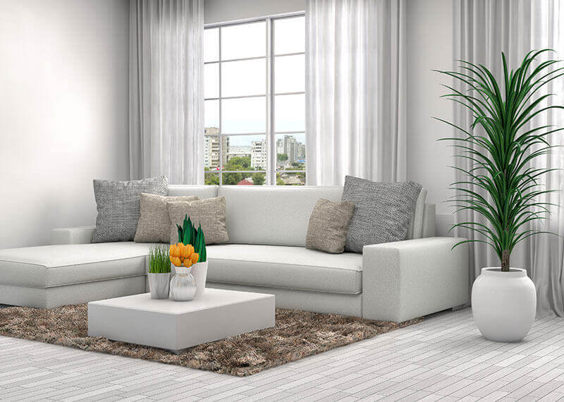 Luxury Interior